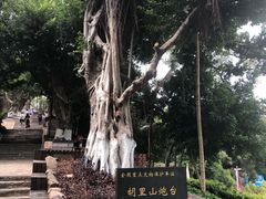 -胡里山炮台