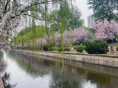 -元大都城垣遗址公园