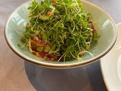 凉拌菜苗火腿片-三利音·浦之舟(滨江大道店)