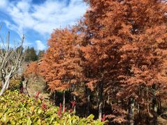-天台山琼台仙谷景区