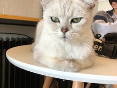 -MAX伯爵沉浸式超级游戏体验馆·实景桌游·剧本杀(小时代店)