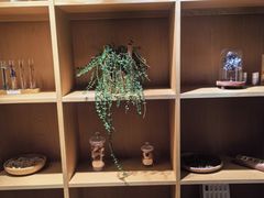 -左悦·艾灸调理·推拿按摩·精油SPA(卓悦汇店)