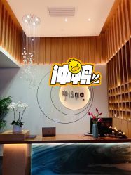 -隐逸SPA
