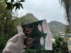 -黔灵山公园