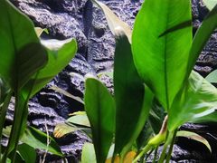 -上海海洋水族馆