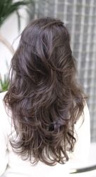 -依格宝IL COLPO明星店