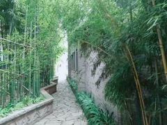 -龙潭水乡