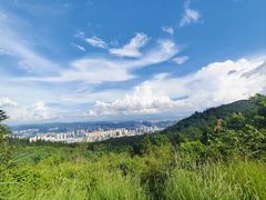-长虫山生态公园风景林