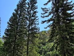 -大雁山风景区