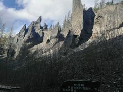 -峡谷浮石林景区