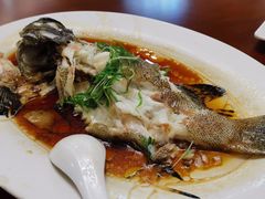 -新金盛·海鲜酒楼(盐田店)