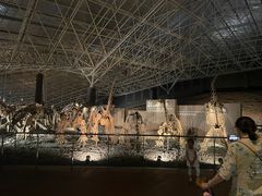 -世界恐龙谷景区