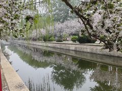 -海棠花溪(元大都城垣遗址公园)