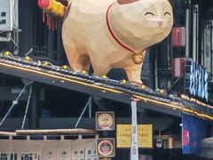 -老地方猫儿面(磁器口店)