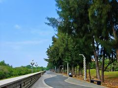 -宝安西湾红树林湿地公园