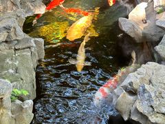 -鲤院·新中式美学·庭院餐厅(夫子庙店)