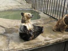 -大连森林动物园