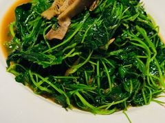 -洋洋中餐馆·SINCE 1997(信投店)