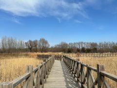 -野鸭湖国家湿地公园