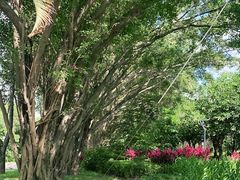 -福田红树林生态公园