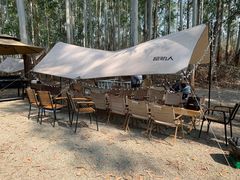 -桉树林A coffee 森林餐厅(三圣乡店)