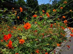 -白塘生态植物园