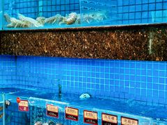 -协成海鲜火锅(情侣路店)