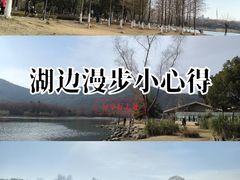 -长广溪湿地公园