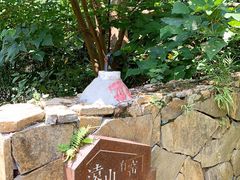 -远山有窑