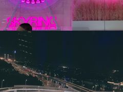 -摩天活力城·摩天轮