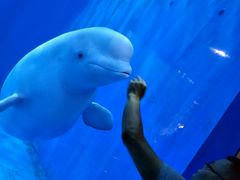 -多彩贵州城极地海洋世界