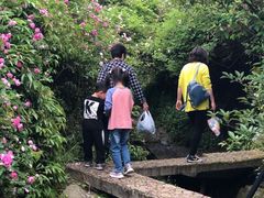 -宁波浙东大竹海景区