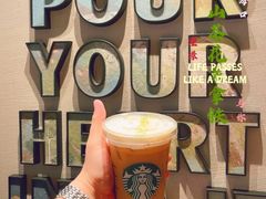 冰星巴克山茶花漾拿铁-星巴克(泰安万达店)