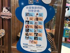 -龟与熊猫宠物公园(南坪店)