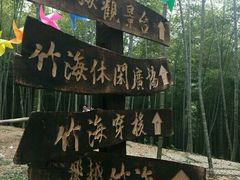 -宁波浙东大竹海景区