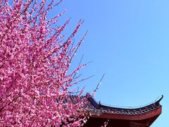-堤角公园