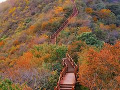 -大岭沟猕猴桃谷风景区