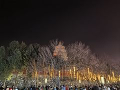 -大雁塔北广场音乐喷泉