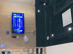 -杨翔豆皮涮牛肚(华阳城店)