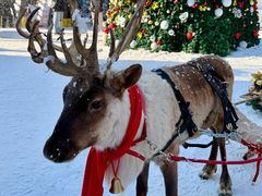 -波塞冬旅游度假区