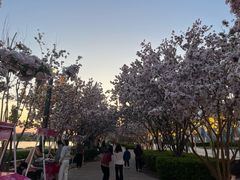 -天津万象城