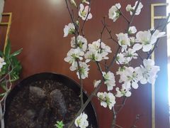 -国际饭店·原点咖啡吧ORIGIN CAFE&BAR