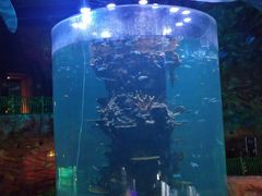 -青岛嘉年华主题乐园