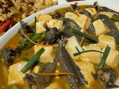 -华盛丰温州大排档(东三环南路店)