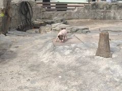 -宁波野生动物园