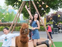 -成都泰迪熊博物馆