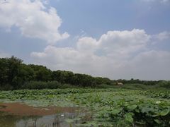 -同里国家湿地公园