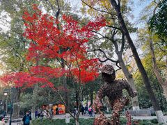 -灵隐飞来峰景区