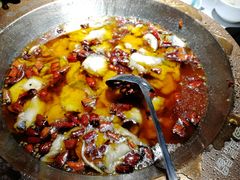 -雲蜀龙阁·金牌水煮鱼(方庄店)