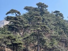 -泰山风景名胜区